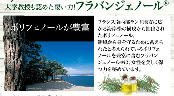 リブランコートについて