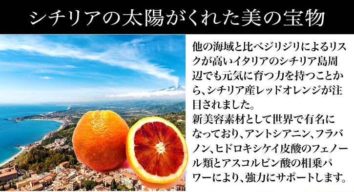 リブランコートについて