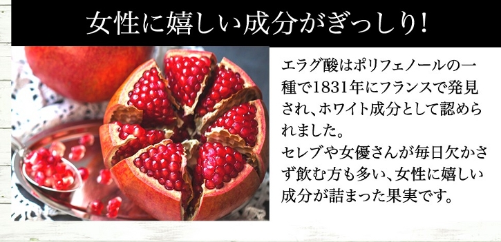 リブランコートについて