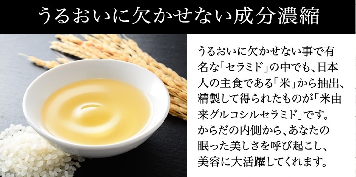 リブランコートについて